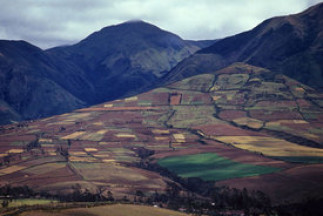 Agriculture de montagne et gestion de l’incertitude : Les « cabañuelas » dans les Andes péruviennes