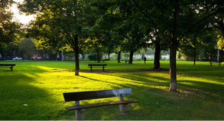 La petite histoire d’un grand parc : le parc La Fontaine (balade commentée) - COMPLET