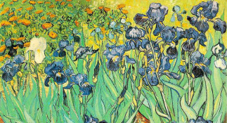 Van Gogh ou la recherche d’une nouvelle peinture