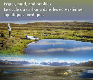 Water, mud, and bubbles: Le cycle du carbone dans les écosystèmes aquatiques nordiques 