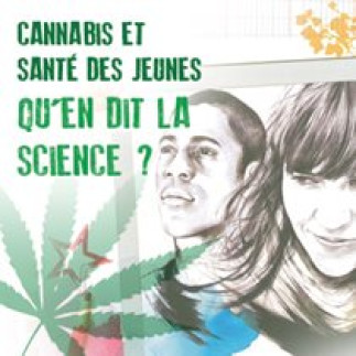 Cannabis et santé des jeunes