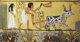 La vie quotidienne des égyptiens au temps des pharaons // L’écriture égyptienne ancienne
