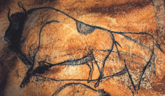 À la découverte de la préhistoire - Cro-Magnon à la maison