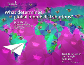 What determines global biome distributions?