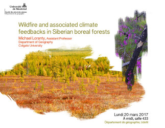 Wildfire and associated climate feedbacks in Siberian boreal forests