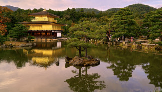Découvrir le Japon : histoire, culture et économie - Complet