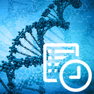 Epigenetic Reprogramming in Cancer