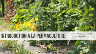 Atelier d'introduction à la permaculture