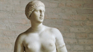 Histoire de l’art : l’apogée de l’art grec et l’art de Rome