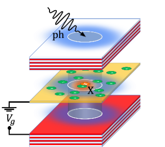 Fermi Polarons in 2D semiconductors - Francesca Maria Marchetti (UAM)