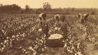 États-Unis : histoire de l'esclavage (jusqu'en 1865)