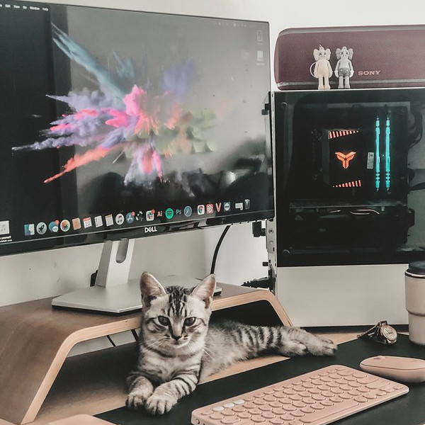 Montage vidéo avec DaVinci Resolve - Atelier culturel